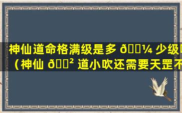 神仙道命格满级是多 🐼 少级啊（神仙 🌲 道小吹还需要天罡不）